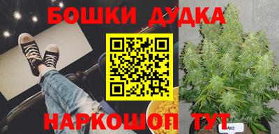 трава Лесосибирск