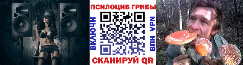 Псилоцибиновые грибы мицелий  Железноводск 