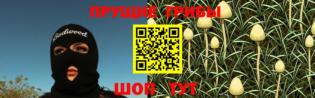 Галлюциногенные грибы мицелий  Галлюциногенные грибы Cubensis  Вход с VPN  Железноводск 