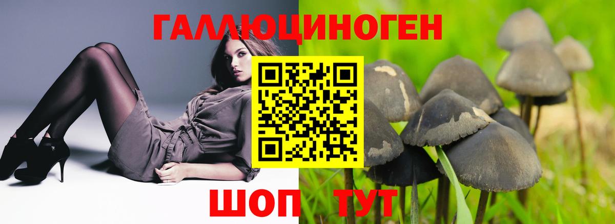 Галлюциногенные грибы MAGIC MUSHROOMS Железноводск